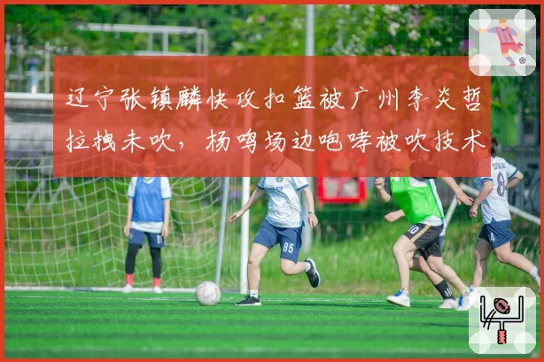 辽宁张镇麟快攻扣篮被广州李炎哲拉拽未吹,杨鸣场边咆哮被吹技术犯规