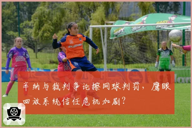 辛纳与裁判争论擦网球判罚,鹰眼回放系统信任危机加剧?