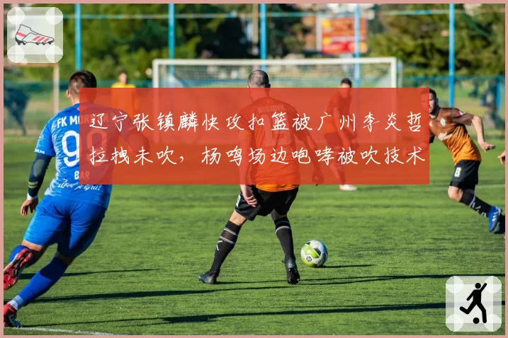 辽宁张镇麟快攻扣篮被广州李炎哲拉拽未吹,杨鸣场边咆哮被吹技术犯规